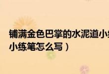 鋪滿(mǎn)金色巴掌的水泥道小練筆仿寫(xiě)（鋪滿(mǎn)金色巴掌的水泥道小練筆怎么寫(xiě)）