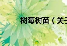 樹莓樹苗（關于樹莓樹苗的介紹）