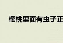 櫻桃里面有蟲子正常嗎（櫻桃里面有蟲）