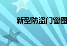新型防盜門(mén)窗圖片（新型防盜門(mén)窗）