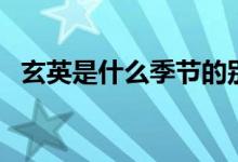 玄英是什么季節(jié)的別稱(玄英是哪個季節(jié))