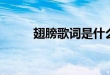 翅膀歌詞是什么意思（翅膀歌詞）