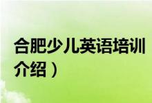合肥少兒英語培訓(xùn)（關(guān)于合肥少兒英語培訓(xùn)的介紹）