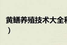 黃鱔養(yǎng)殖技術(shù)大全和利潤（黃鱔養(yǎng)殖技術(shù)大全）