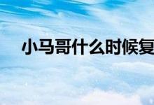 小馬哥什么時候復(fù)出（小馬哥什么意思）