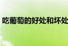 吃葡萄的好處和壞處（吃葡萄的好處和壞處）