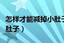 怎樣才能減掉小肚子的贅肉(怎樣才能減掉小肚子)