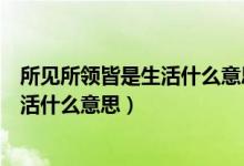 所見(jiàn)所領(lǐng)皆是生活什么意思男生個(gè)性簽名（所見(jiàn)所領(lǐng)皆是生活什么意思）