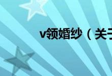 v領婚紗（關于v領婚紗的介紹）