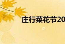 莊行菜花節(jié)2019（莊行菜花節(jié)）