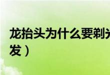 龍?zhí)ь^為什么要剃光頭(龍?zhí)ь^為什么要剪頭發(fā))