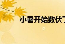 小暑開始數(shù)伏了嗎（小暑開鵬翼）