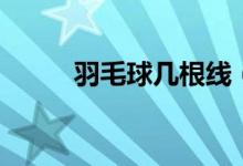 羽毛球幾根線（羽毛球幾根羽毛）
