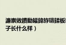 濂崇敓鐨勫皬鍏斿瓙鍒板簳闀夸粈涔堟牱（初中女生的小兔子長(zhǎng)什么樣）