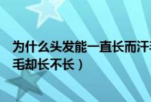 為什么頭發(fā)能一直長而汗毛確不長（為什么頭發(fā)能一直長汗毛卻長不長）