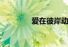 愛(ài)在彼岸動(dòng)漫（愛(ài)在彼方）