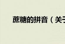 蔗糖的拼音（關(guān)于蔗糖的拼音的介紹）