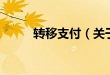 轉移支付（關于轉移支付的介紹）