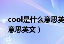 cool是什么意思英文網(wǎng)絡(luò)用語（cool是什么意思英文）