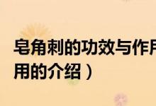 皂角刺的功效與作用（關(guān)于皂角刺的功效與作用的介紹）