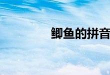 鯽魚(yú)的拼音（鯽魚(yú)的拼音）