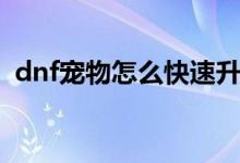 dnf寵物怎么快速升級（dnf寵物怎么獲得）