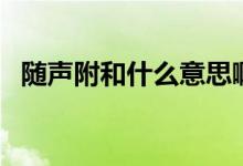 隨聲附和什么意思啊（隨聲附和什么意思）
