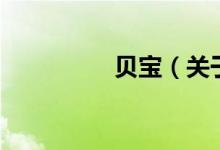 貝寶（關(guān)于貝寶的介紹）