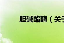 膽堿酯酶（關(guān)于膽堿酯酶的介紹）