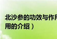 北沙參的功效與作用（關(guān)于北沙參的功效與作用的介紹）