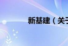 新基建（關(guān)于新基建的介紹）