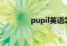 pupil英語怎么讀（pupil）