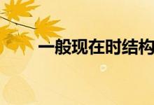 一般現(xiàn)在時(shí)結(jié)構(gòu)用法（一般現(xiàn)在時(shí)）