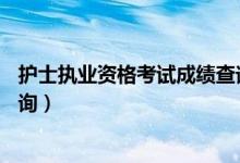 護士執(zhí)業(yè)資格考試成績查詢19年（護士執(zhí)業(yè)資格考試成績查詢）