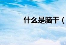 什么是腦干（什么是腦囊蟲?。?class=