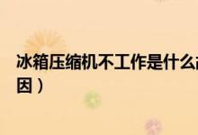 冰箱壓縮機不工作是什么故障（冰箱壓縮機不工作是什么原因）