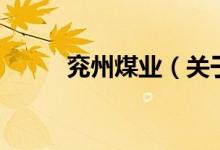 兗州煤業(yè)（關于兗州煤業(yè)的介紹）