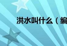 洪水叫什么（編號(hào)洪水是什么意思）