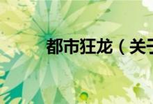 都市狂龍（關于都市狂龍的介紹）
