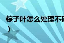 粽子葉怎么處理不破（粽子葉怎么處理才能用）