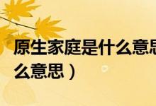 原生家庭是什么意思通俗一點(diǎn)（原生家庭是什么意思）