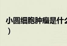 小圓細(xì)胞腫瘤是什么意思(小圓細(xì)胞什么意思)