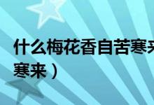 什么梅花香自苦寒來(lái)下一句（什么梅花香自苦寒來(lái)）
