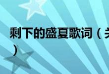 剩下的盛夏歌詞(關(guān)于剩下的盛夏歌詞的介紹)