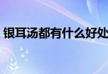 銀耳湯都有什么好處（銀耳湯的功效是什么）
