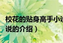 ?；ǖ馁N身高手小說(shuō)（關(guān)于校花的貼身高手小說(shuō)的介紹）