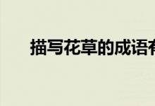 描寫(xiě)花草的成語(yǔ)有（描寫(xiě)花草的成語(yǔ)）