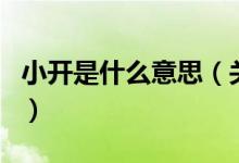 小開(kāi)是什么意思（關(guān)于小開(kāi)是什么意思的介紹）