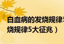 白血病的發(fā)燒規(guī)律5大征兆圖片（白血病的發(fā)燒規(guī)律5大征兆）