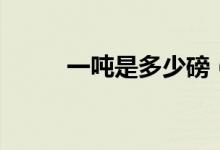 一噸是多少磅（一噸是多少斤?。?class=